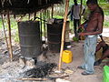 Bäuerliche Kleinproduktion von Palmwein in Ghana, März 2008