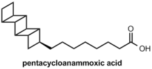 Acide pentacycloanammoxique.