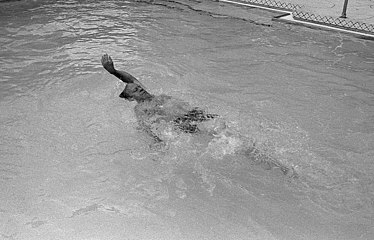 Prezident Ford při plavání v Bílém domě, 1. července 1975