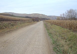 Drumul spre satul Petea