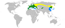 Omtrentleg geografisk utbreiing ██ Hekking ██ Alle årstider ██ Vinter