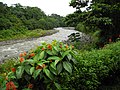 Miniatura para Río Sarapiquí