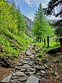 Sentiero delle cascate del Rutor, La Thuile