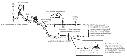 Sulfur cycle