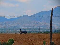 Landwirtschaft bei Santa Rosa im Municipio El Llano