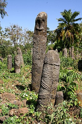 Cultuurlandschap van de Gedeo