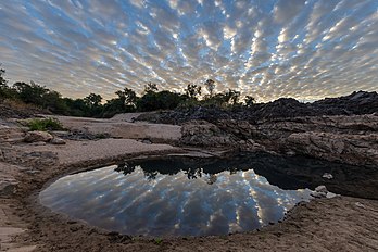 Reflexo de nuvens altocumulus undulatus em uma lagoa na praia de Don Khon ao amanhecer, Si Phan Don, Laos. O altocumulus undulatus é uma nuvem de nível médio (cerca de 2 400 a 8 000 m), geralmente branca ou cinza com camadas ou manchas contendo ondulações que se assemelham a “ondas” ou “ondulações” na água. Essas nuvens podem aparecer tanto como manchas quanto cobrindo o céu. A presença de altocumulus undulatus pode indicar precipitação nas próximas 20 horas ou simplesmente um dia nublado. Tal como acontece com outros altocumulus, a variedade undulatus pode se formar em todas as estações do ano. Elas resultam do cisalhamento do vento (uma velocidade abrupta ou mudança direcional no vento, mudando agudamente com a altura). As linhas que podem ser vistas indicam a direção do cisalhamento. (definição 5 376 × 3 584)