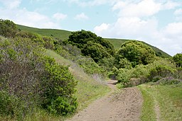 Wildcat Canyon Richmond California.JPG