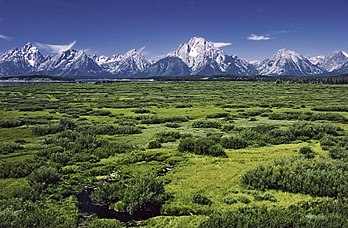 Paysage du parc national de Grand Teton, dans le Wyoming. Le mont Moran est au centre. (définition réelle 1 811 × 1 189)