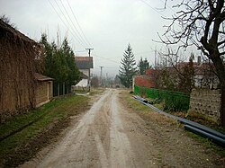 Street in Crkvice