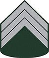 3° Sargento do Exército Brasileiro
