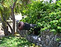 07 - Un canon à (en) Bodden Town dans les Îles Caïmans.