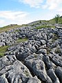 Palmant calchfaen Bryn Alun