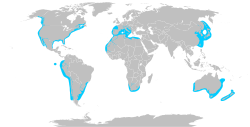 Območje razširjenosti (modro)