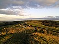 View from Combe Gibbet, looking east towards Walbury Hill