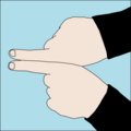Bliv med din buddy : Begge hænder knyttet, pegefingrene strækkes og hænderne placeret sammen med pegefingre sideløbende og i kontakt. Kan også anvendes til at tildele ny buddy.