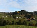 Etzelpass hag an Teufelsbrücke