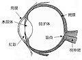 2018年11月24日 (土) 05:19時点における版のサムネイル