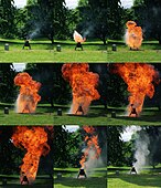 An outdoor demonstration. In the first image, the oil catches fire, and the water is just being added. In the second image, a small white cloud of droplets explodes from the flaming pot; in the following images, the cloud expands, but the flames spread to almost completely conceal it, and the cloud of flame disappears out of the top of the fram. In the last two images, the flame dissapates, leaving a cloud of smoke. Elapsed time 2.4 seconds.