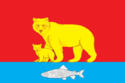 Flag of Karaginsky District
