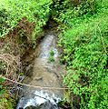 Le ruisseau de la Fontaine du Noyer.