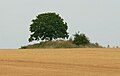 Vorschaubild der Version vom 20:43, 10. Aug. 2019