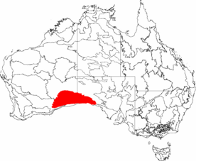 Description de l'image IBRA 6.1 Nullarbor.png.