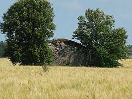 De Kupukivi, een zwerfsteen in Kupu