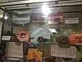 Colección de Nidos Fósiles pertenecientes al museo