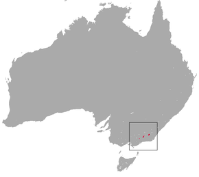 Description de l'image Mountain Pygmy Possum area.png.