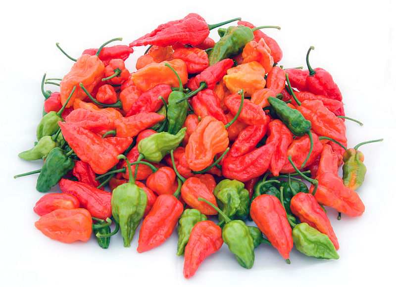 scotch bonnet