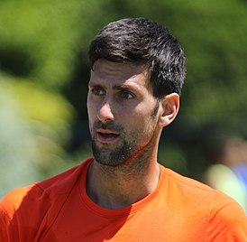 Novak Djokovic (34775891004) (cropped).jpg