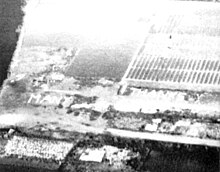 Many Thanks spelt in tulips after Operation Manna. The operation saw humanitarian airdrops, to help relieve the famine in the Netherlands. Operation Manna - Many Thanks In Tulips.jpg