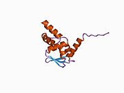1buo: دومین BTB از مولکول پروتئینی PLZF