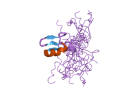 PDB rendering based on 2ckc.