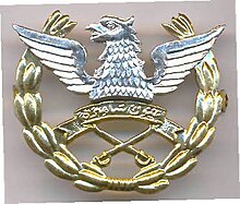 Знаки отличия авиации армии Пакистана.jpg