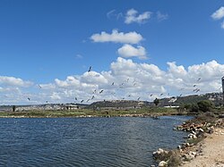 PikiWiki Israel 38115 Nature and Colors.JPG