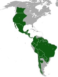 Mapa de distribuição da suçuarana.