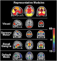 Visual cortex is active even during resting state fMRI. RestingStateModels.jpg