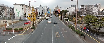 国道202号、荒江歩道橋の西側（荒江団地）