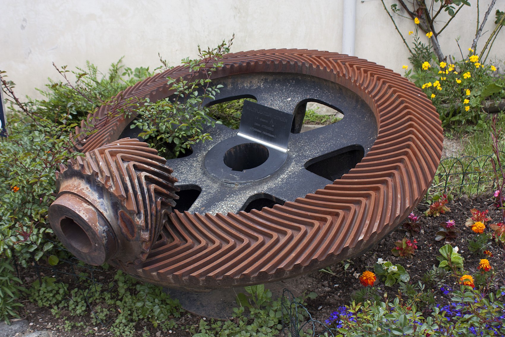 Une roue crantée.