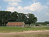 Schaapskooien op de Zuid-Ginkel