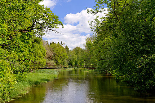 Selja jõgi Arknas