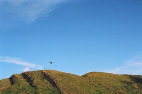 Famalicão (Nazaré)