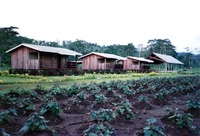 Student dormitories of the Stuyvenberg RTC, with sweet potato plantation on 3 June 1993.