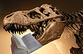 The Fearsome Jursassic thesaurus thanks Wikipedians for great copyediting.