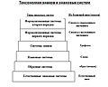 Миниатюра для версии от 17:38, 23 сентября 2021