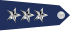 Lieutenant General (LTG)