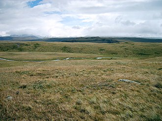 Rezente Hochlandsteppe auf dem Ukok-Plateau (Süd-Altai) auf rund 2300 m Meereshöhe, mit vielen Ähnlichkeiten zur Mammutsteppe
