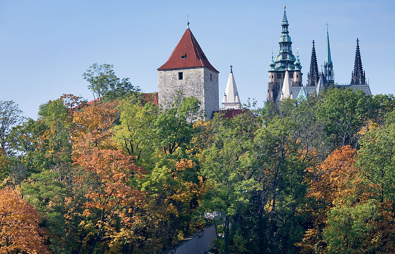 Файл:View of the Castle through a forest, Prague - 9493.jpg